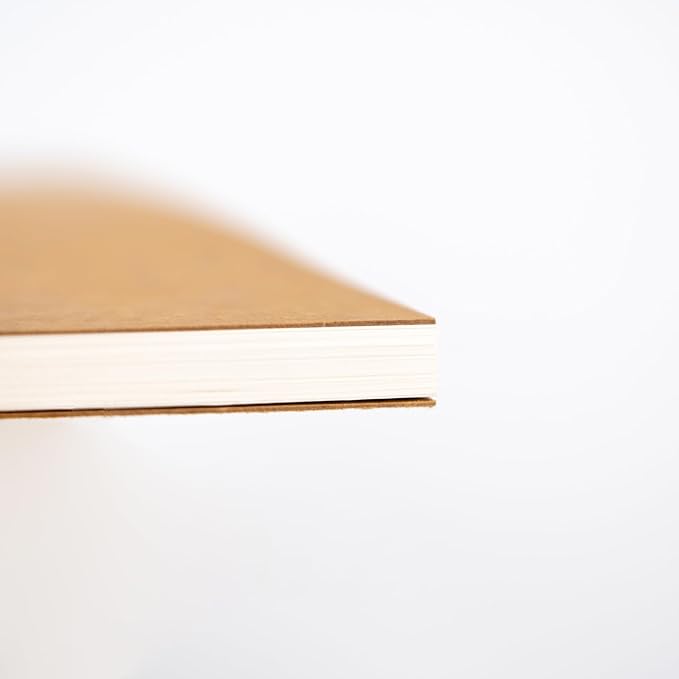 DSTELIN 10 inch x 7.5 inch, 100GSM, Blank Spiral Notebook, 1-Pack, Soft Cover, Sketch book, 120 Pages / 60 Sheets, (Brown)