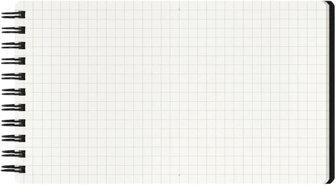 Maruman MNEMOSYNE Notebook 3.94 x 6.69 Inches (Long & Narrow), 5mm-squared, 80 Sheets (N186)