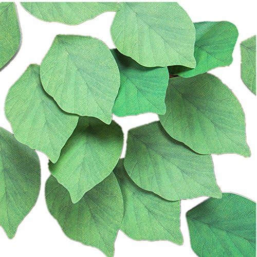 Funny live Leaf Sticky Note Pads Memo Pads Anti-Forgetting Reminder Note DIY Decoration Home Wall/Photo Wall Decoration,50 Sheets/Pad,8 Pads,400 Pages in Total