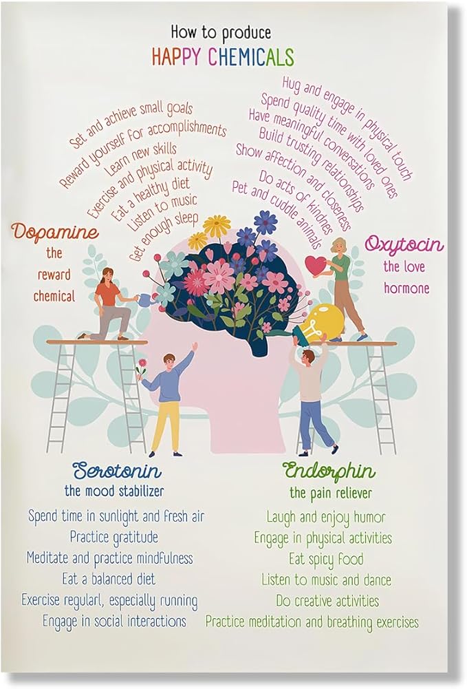 Happy Chemicals Poster Mental Health & Self-Care Wall Art Science Of Happiness Decor For Personal Growth & Mindfulness Therapy Gift Unframed 24x36inch