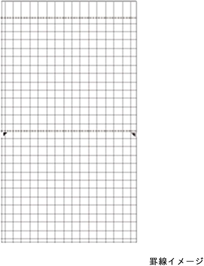 Maruman MNEMOSYNE Notebook 7.09 x 3.94 Inches (Long type), Double perforations, 5mm-squared, 50 Sheets (N177A)