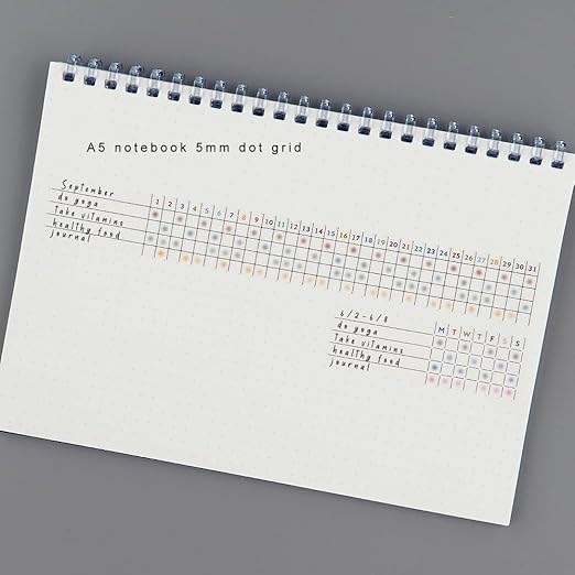 Japanese Writable Washi Tapes/Set of 2 / Habit Tracker / 25mm x 10m / 50 Months & 125 Weeks