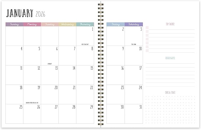 TF Publishing 2026 Almost Rainbow Large Weekly Monthly Planner with 12-Month Calendar Grid, Vertical Weekly Pages, Task and Habit Trackers, and Stickers - Large Planner for School or Work - 9in x 11in