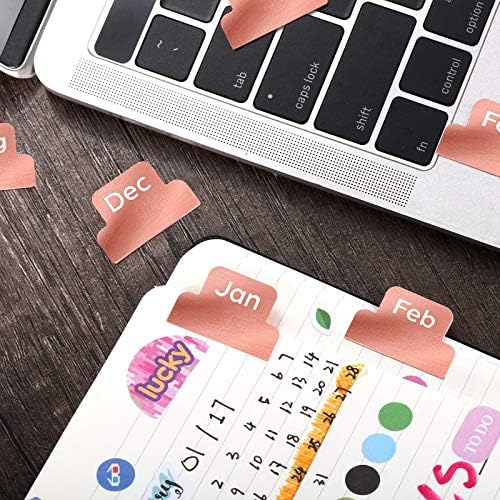 Outus 24 Pieces Monthly Adhesive Tabs for Planner - Designer Accessories Monthly Tabs Stickers Decorative for Office Planners Organizations Sturdy Notebook Planners Journal(Rose Gold)