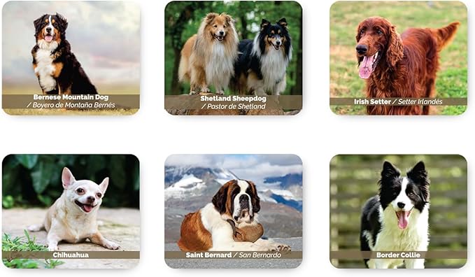 Menique – Dogs Memory Matching Game – Bilingual – 80 Cards (40 Pairs) with Real Photographs – Educational Game for Kids and Adults