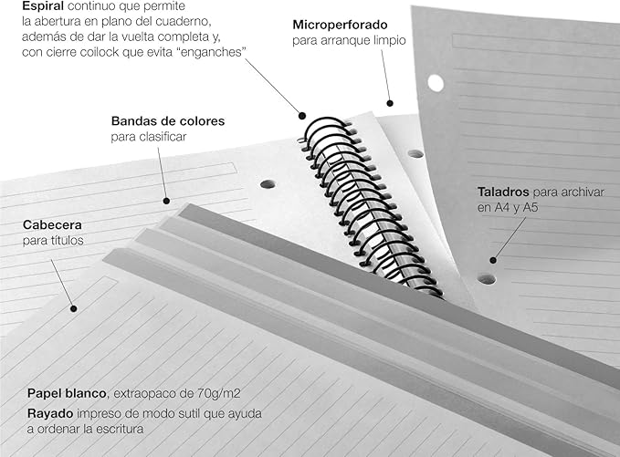 Miquel Rius M Fashion 4 Subject Notebook, Lined A5-8.27" x 5.83" 120 Sheets Heavyweight Paper, Subjects Separated by color, 2 Hole Punched, Micro-Perforated, Cosmos Design, Multicolor