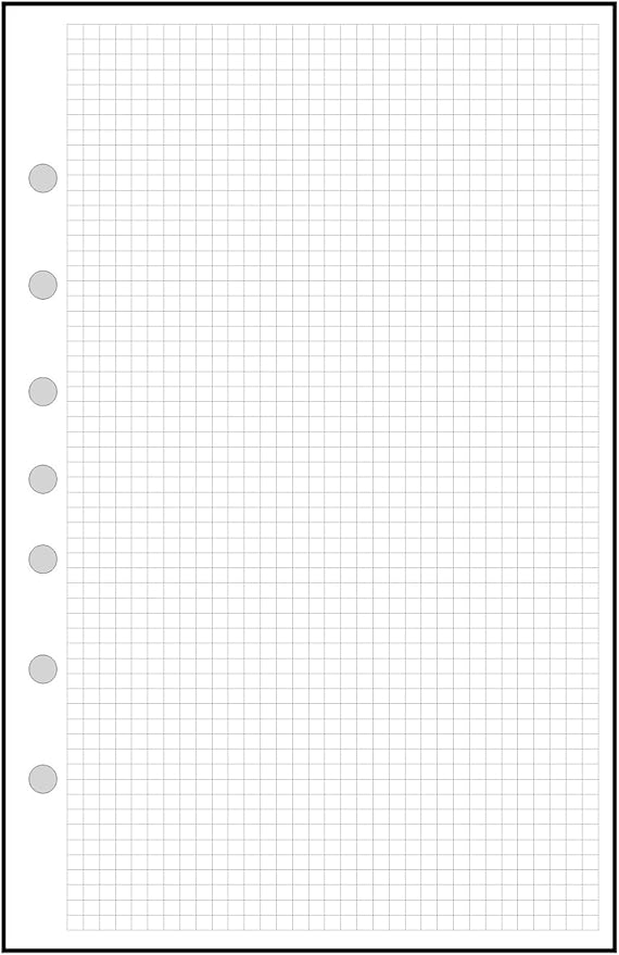 Classic Size Graph Paper Refill, 0.125" (1/8”) Spacing, Sized and Punched with 7 Holes for 7-Ring Notebooks Such as Franklin, etc. (5.5" x 8.5")