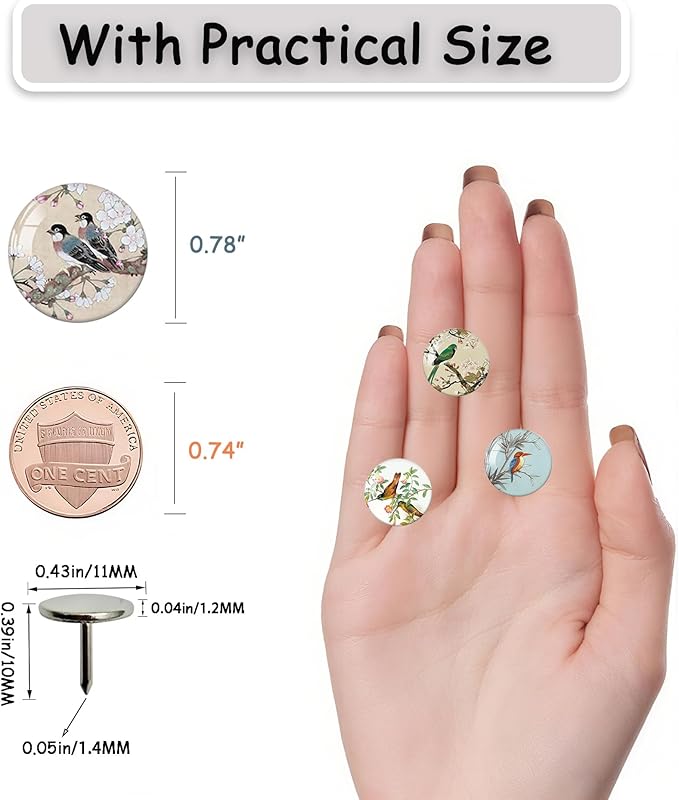 24Pcs Bird Decorative Pins and Tacks, Thumb Tacks for Bulletin Board,Cork Board Thumbtacks,Pin Board for Cork Board,Office Decor,or Home Décor