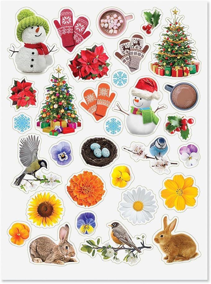 CURRENT Four Seasons Stickers - Assorted Stickers for Kids, Teachers, School, Scrapbooking, Journals, Monthly Planners, Calendars, Holiday Crafts, Greeting Cards, & Special Occasions