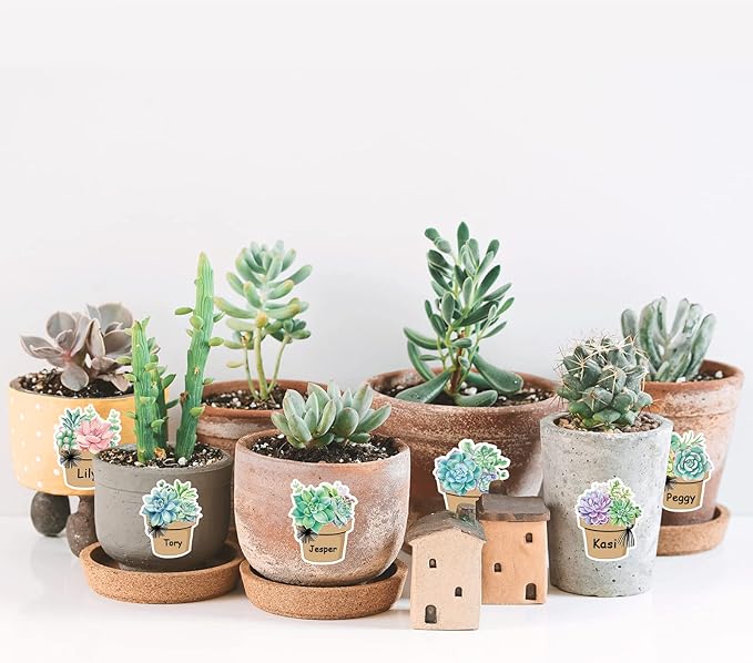 Whaline 120Pcs Back to School Succulent Name Tags 12 Designs Potted Succulent Nameplate Sticekrs Classroom Bulletin Board Decoration Label Stickers for Office School Desk Wall Message Board, 20 Sheet
