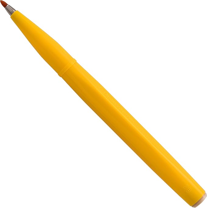 Pentel Arts Sign Pen, Fiber Tip, Assorted Ink, 5 Pack Pouch (S520-5)
