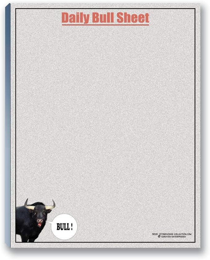 Stonehouse Collection -Funny Notepads Assorted Pack - 4 Funny To Do List Notepads - USA Made