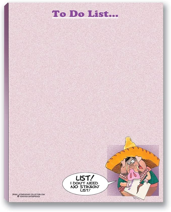 Stonehouse Collection -Funny Notepads Assorted Pack - 4 Funny To Do List Notepads - USA Made