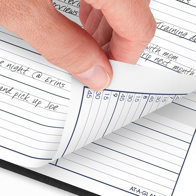 AT-A-GLANCE 2025 Appointment Book Planner, Weekly, 8" x 11", Large, Quarter-Hourly, DayMinder, Black (G5200025)