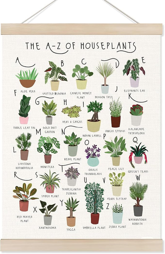 Koesus The A-Z of Houseplants Alphabet Wall Art Poster Hanger Frame 12x16 Inch, Gifts for Plant Lovers, Types of Houseplants Educational Canvas Pictures Prints Framed Wall Decor for Home Classroom