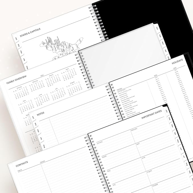 Blue Sky 2026 Weekly and Monthly Planner Calendar, January 2026 - December 2026, 8.5" x 11", Clear Pocket Cover, Laminated Tabs, Durable Twin Wire Binding, Storage Pocket, Analeis