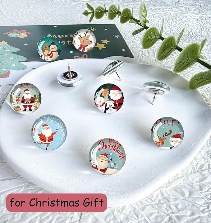 Push Pins for Cork Board-24pcs Decorative Push Pins with Case, Cute Thumb Tacks and Pushpins for Bulletin Board,Thumbtacks for Cork Boards, Office Organization, Christmas and Home Décor