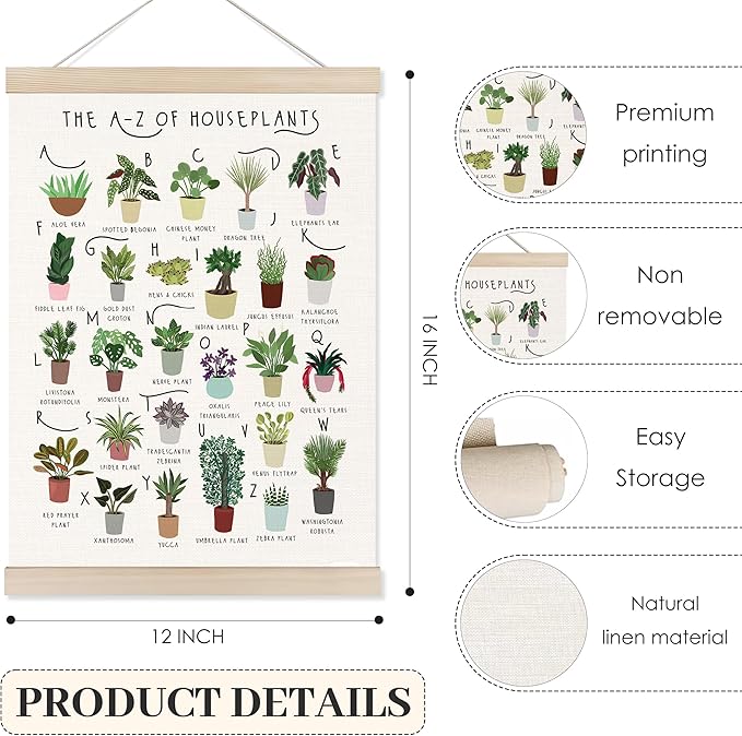 Koesus The A-Z of Houseplants Alphabet Wall Art Poster Hanger Frame 12x16 Inch, Gifts for Plant Lovers, Types of Houseplants Educational Canvas Pictures Prints Framed Wall Decor for Home Classroom