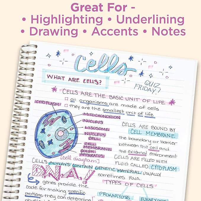 Zebra Pen Mildliner Dual-Tip Highlighter Marker Set, Broad and Fine Point Tips, No Bleed, Ideal for Bible Highlighting, Journaling & Note-Taking, Assorted Neutral & Gentle Ink Colors, 10-Pack (78701)