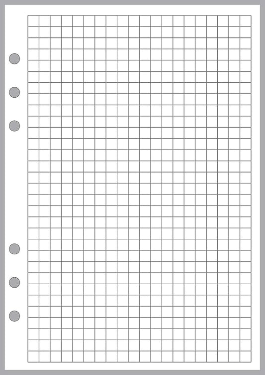 A5 Size Graph Paper Refill, Sized and Punched 6-Ring A5 Notebooks by Filofax, LV (GM), Kikki K, TMI, and Others. Sheet Size 5.83" x 8.27" (148mm x 210mm)