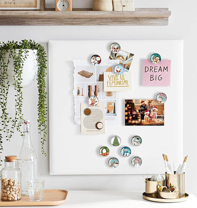Push Pins for Cork Board-24pcs Decorative Push Pins with Case, Cute Thumb Tacks and Pushpins for Bulletin Board,Thumbtacks for Cork Boards, Office Organization, Christmas and Home Décor