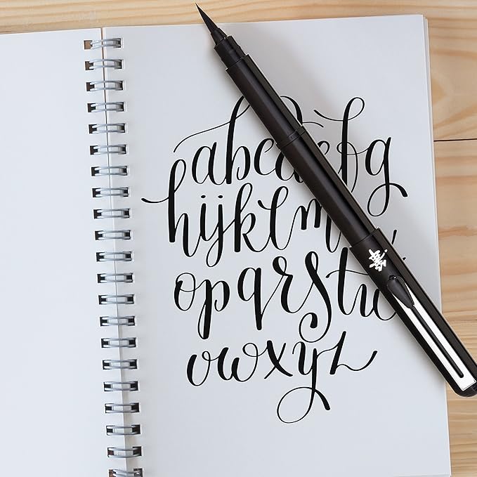 Pentel Arts Pocket Brush Pen with Refills, 1 Pen & 2 Refills