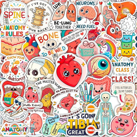 100Pcs Anatomy Stickers - Medical Doctor Physiology Stickers for Laptop, Water Bottle - Sonography Radiology Healthcare Nurse Bone Decals